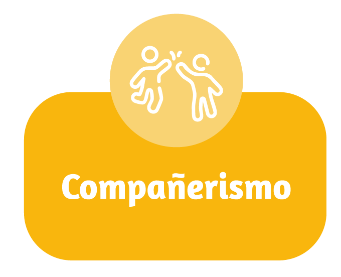 compañerismo